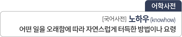 노하우(knowhow) 어떤 일을 오래함에 따라 자연스럽게 터득한 방법이나 요령
